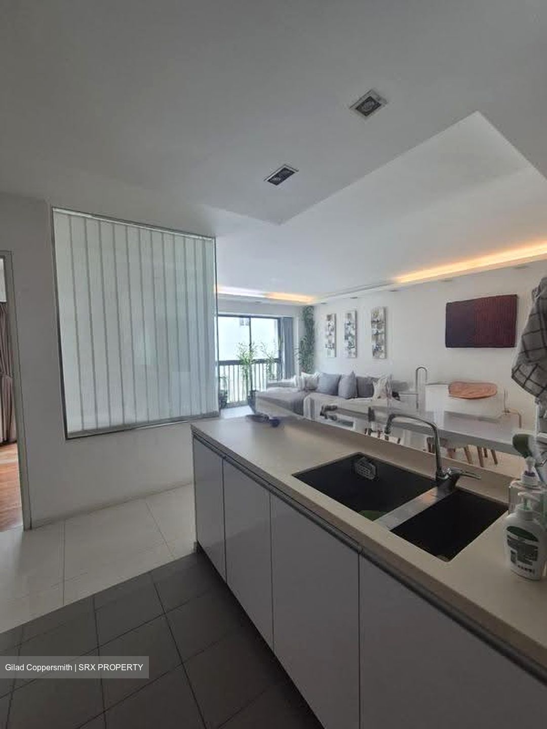 Blk 1G The Pinnacle@Duxton (Bukit Merah), HDB 4 Rooms #619496431